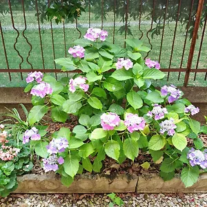 Casa Di Serena Apartamento